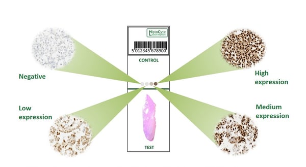 Quality controls: the issue with tissue