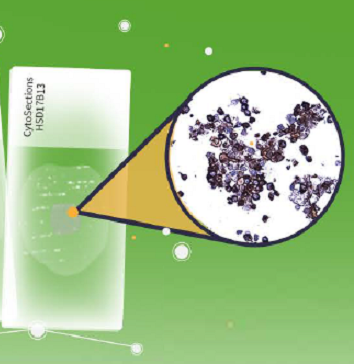 Control tissue with CytoSections