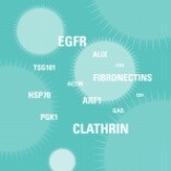 Exosome Proteomics