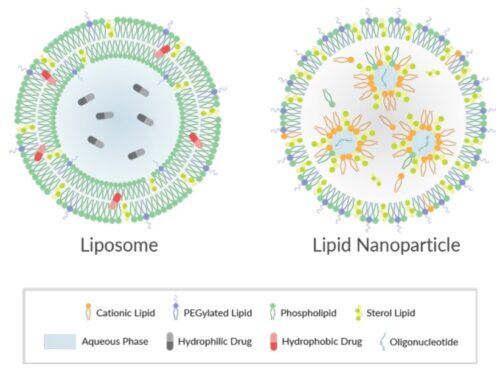 Lipid-Based Nano Drug Delivery
