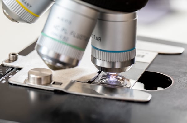Lymphomas and Leukemias