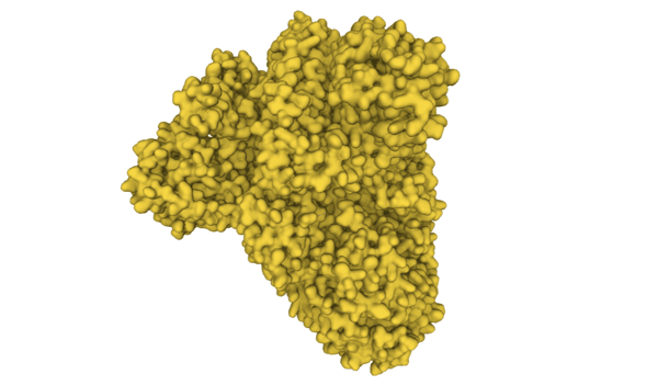 pPACK-SPIKE™ P1 Variant Spike Protein Lentivector Packaging Mix